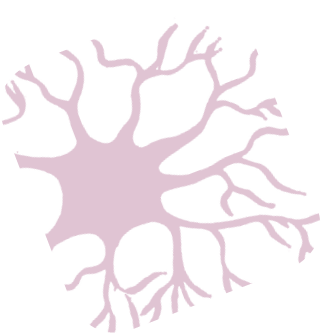 neurona.tif